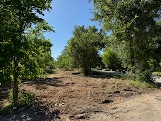 Cleared dirt pathway surrounded by lush green trees under a clear blue sky.