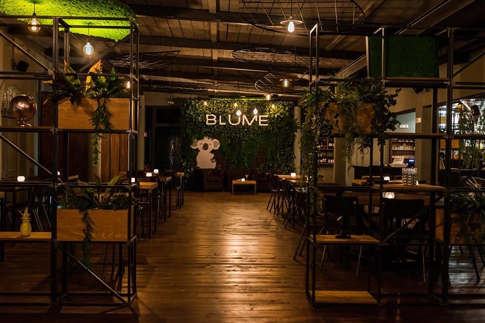 Blume Lounge serata