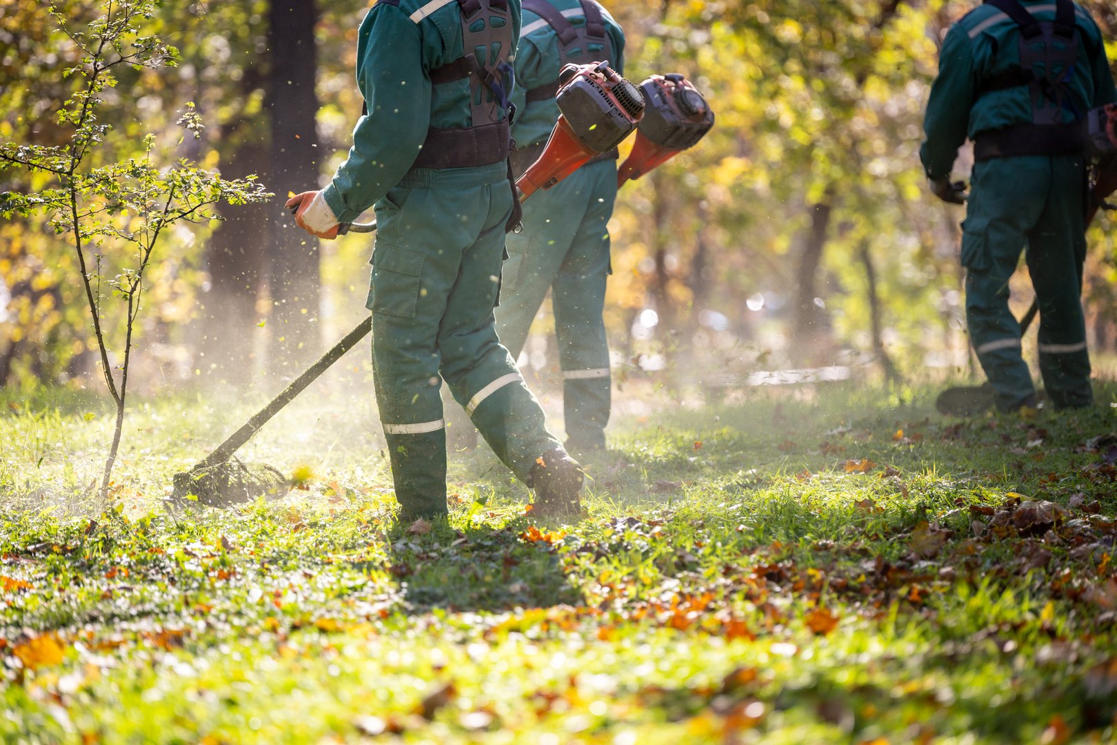 Three workers in green uniforms focus on maintaining the grassy area of a forest. Sunlight filters through the trees, creating a vibrant autumn atmosphere as they clear the land.