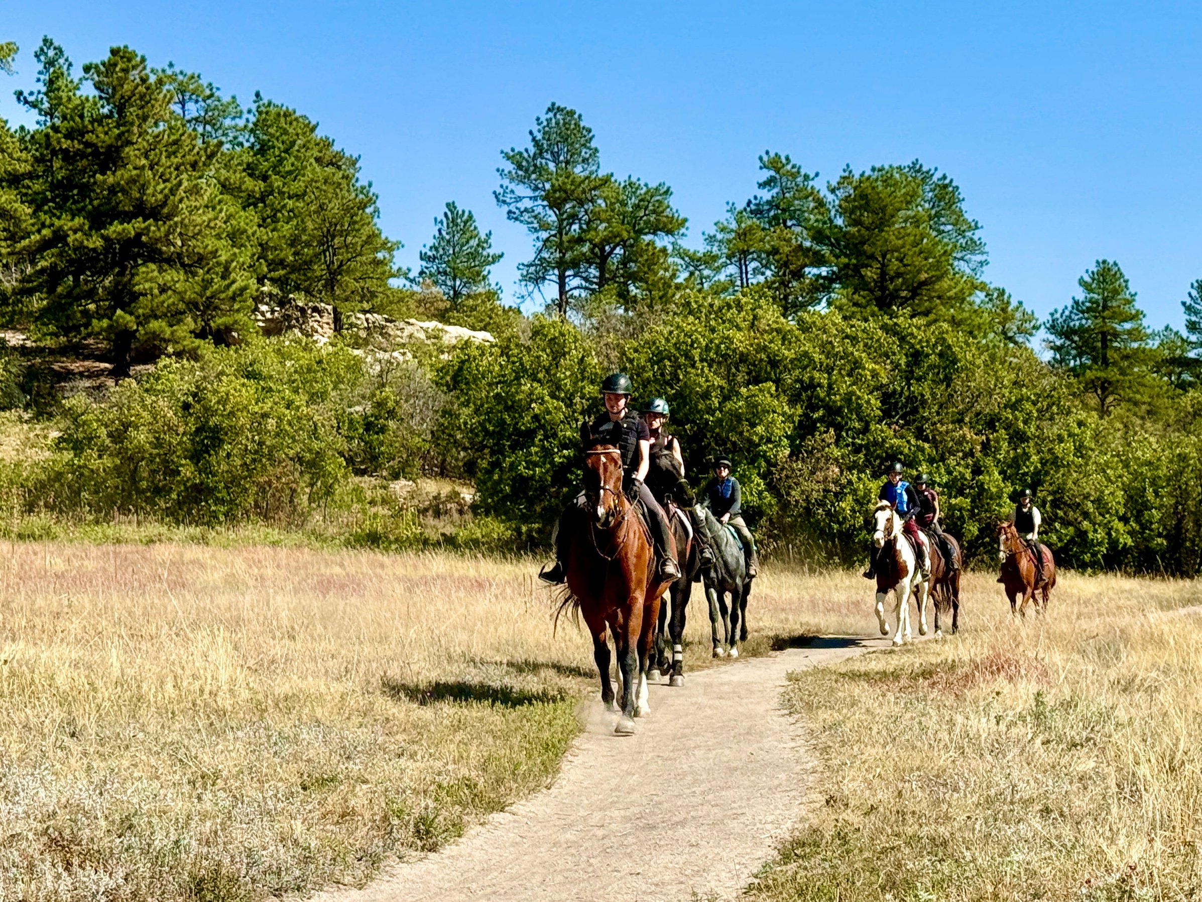 A line of people riding horses on a trail approaches the photographer.  A small group of horses and their riders enjoy a ride along the dirt trail that winds through grasses, trees, valleys and hills in a Colorado open space. Riders of all ages and genders wear safety equipment for this leisure pastime.