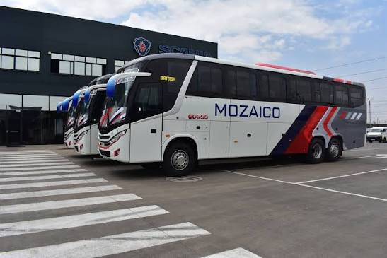 Mozzaico Premium Fleet