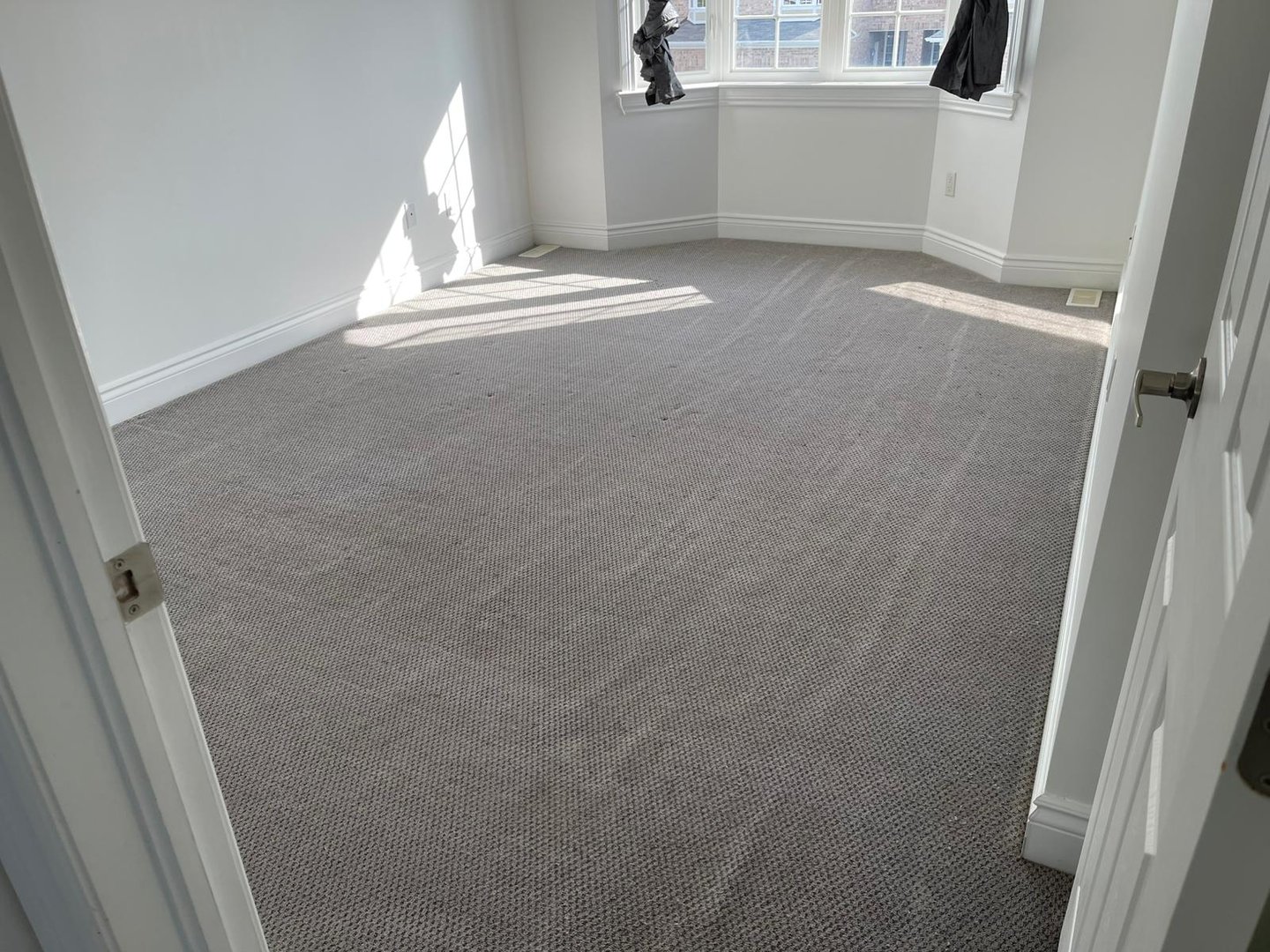 Carpet after professional cleaning showing clean and fresh appearance