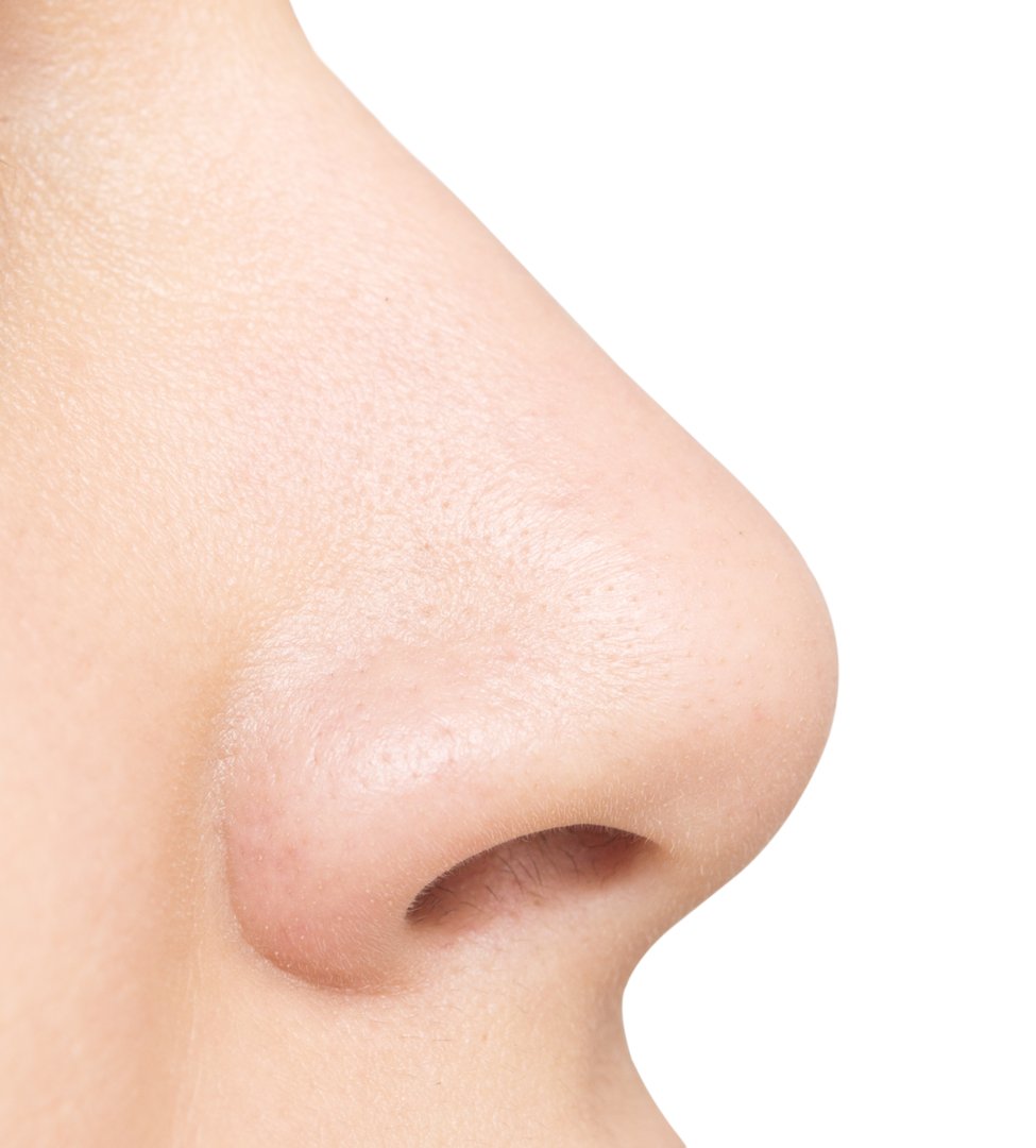nose isolated on white background