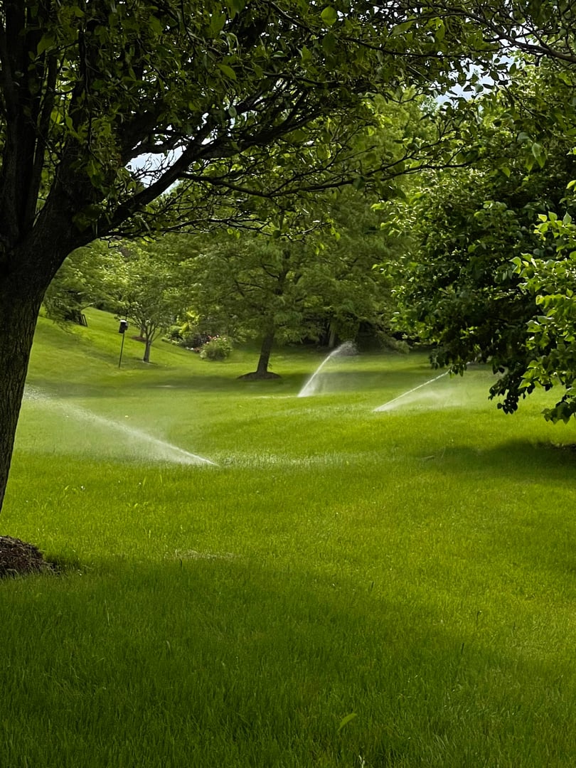 Professional irrigation system installation
