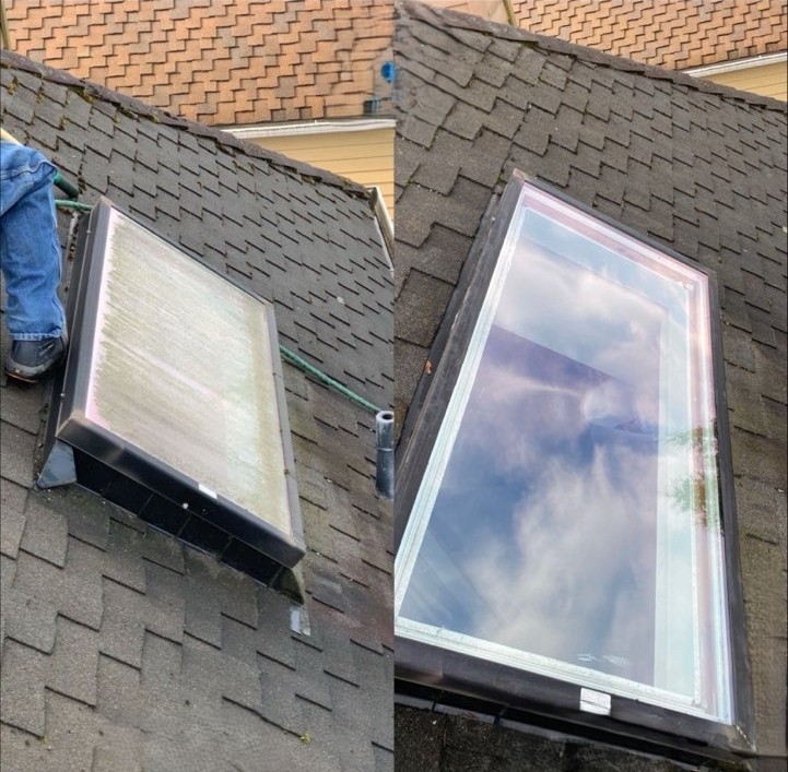 Professional window cleaning service