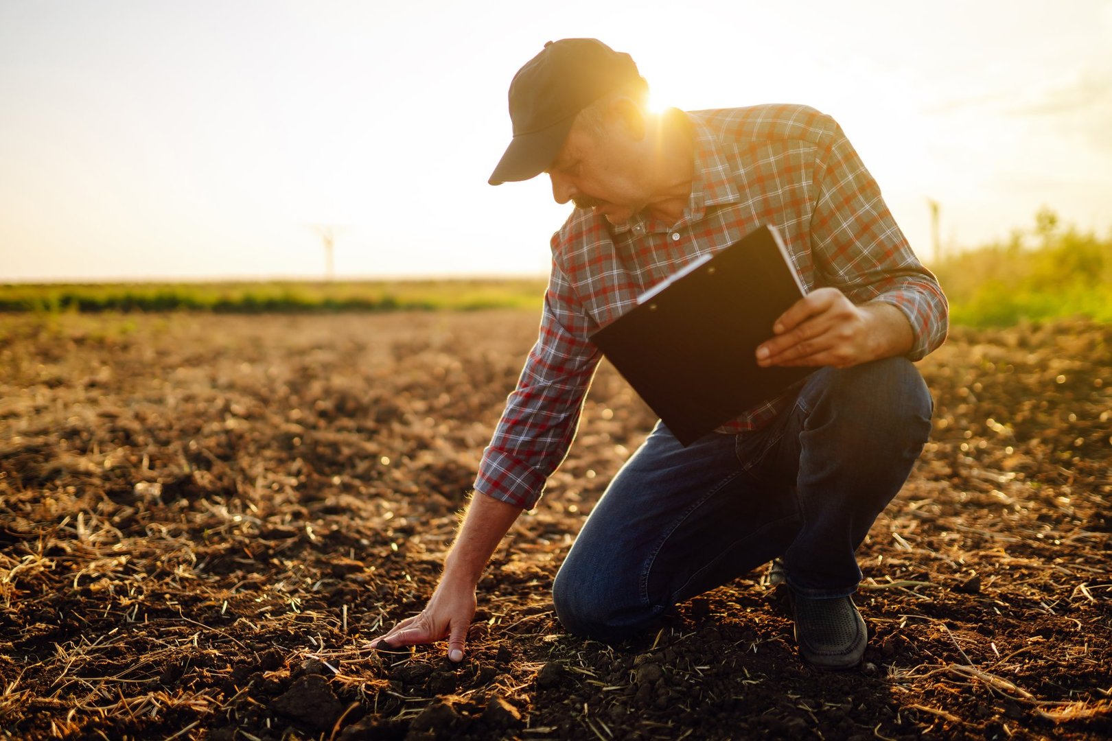 Male hands touching soil on the field. Expert hand of farmer checking soil health before growth a seed of vegetable or plant seedling. Business or ecology concept.