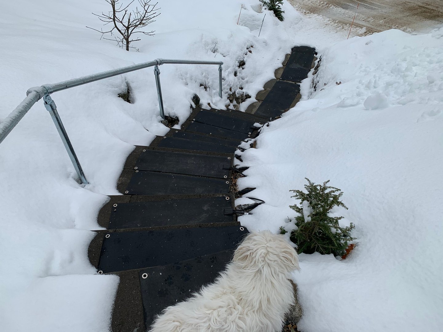 Heat Path Pros heated mat system