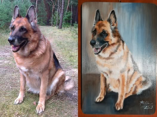 Zrealizowane zamówienie 13