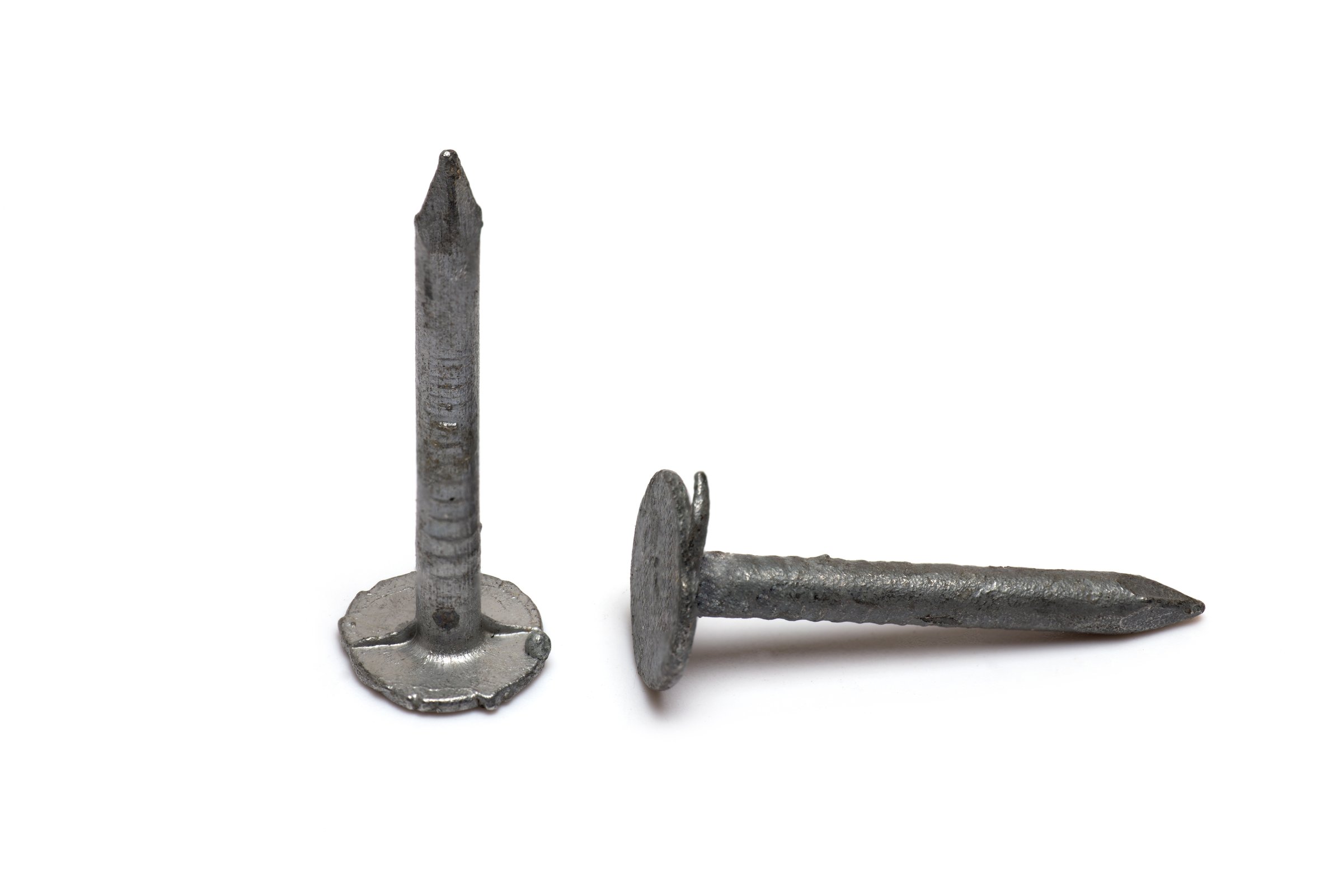 Extra Large Head Nails