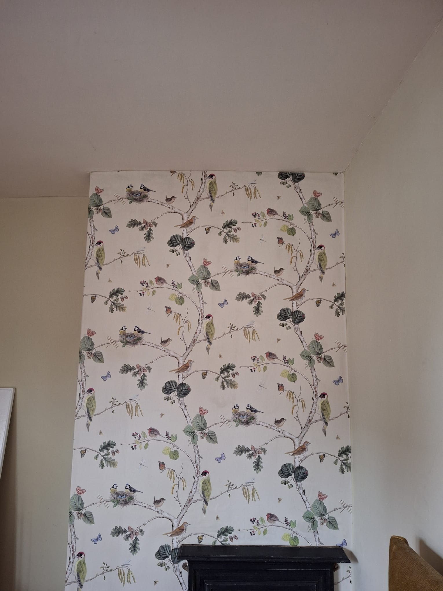 Bird wallpaper pattern featuring decorative birds