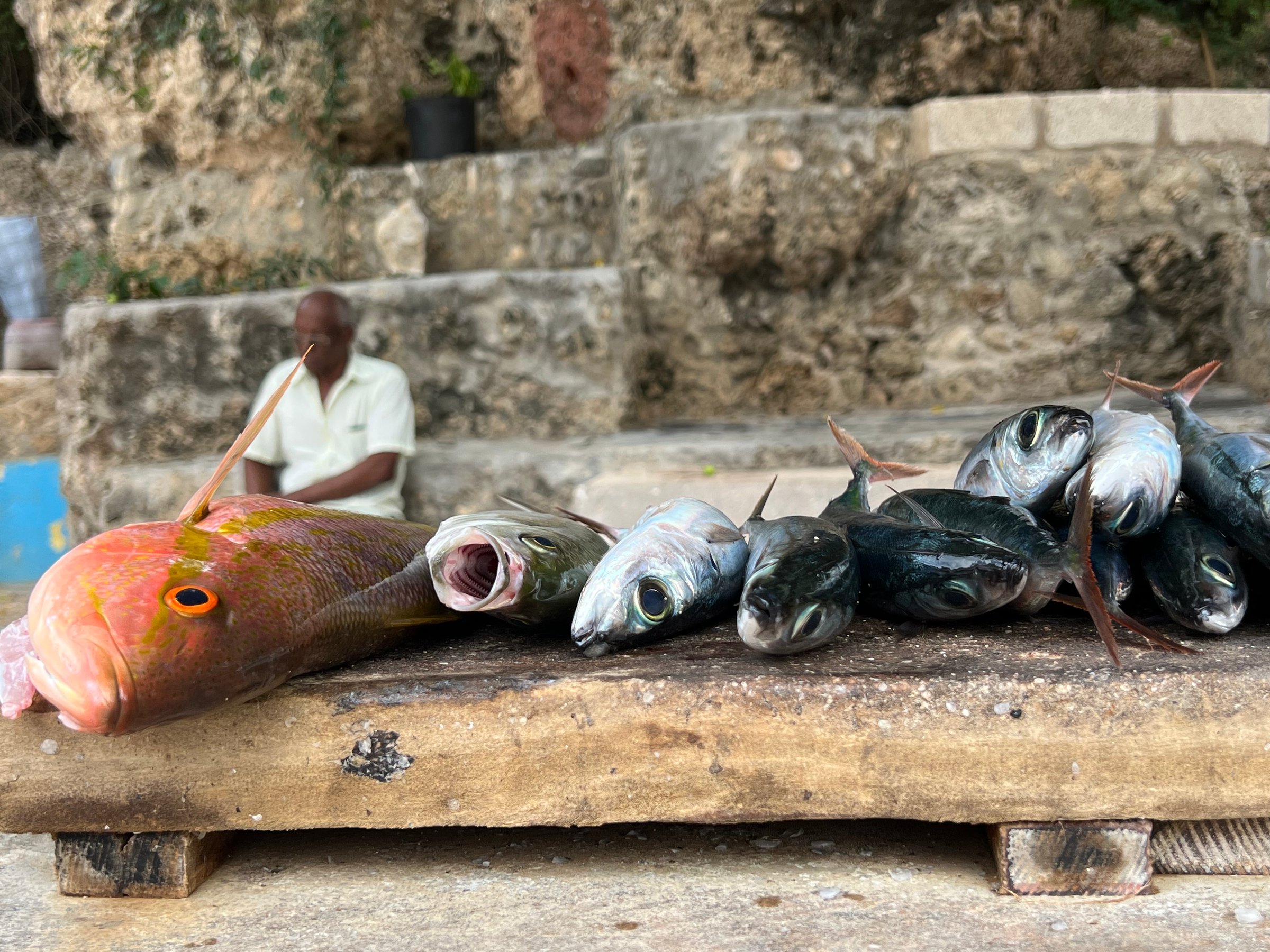 Several different fishes lying on a wooden cutting board.