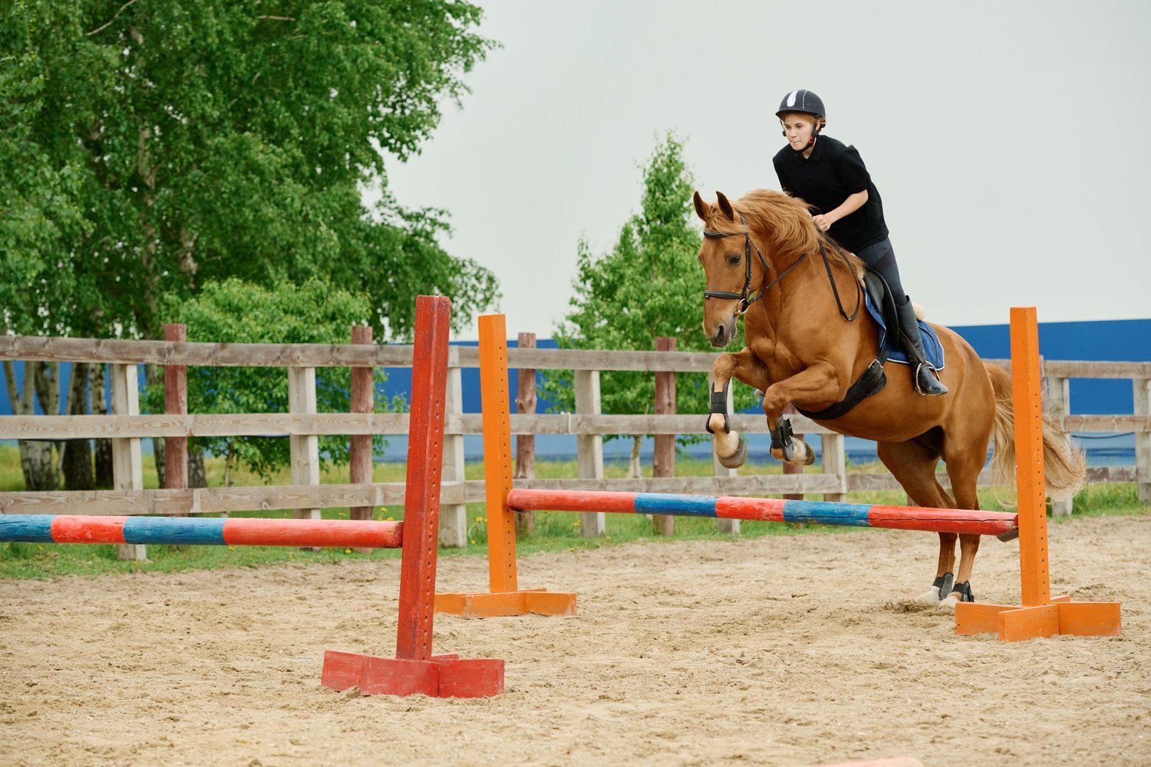 Stage équitation perfectionnement parcours obstacles au Club Hippique du Tampon - formation CSO La Réunion