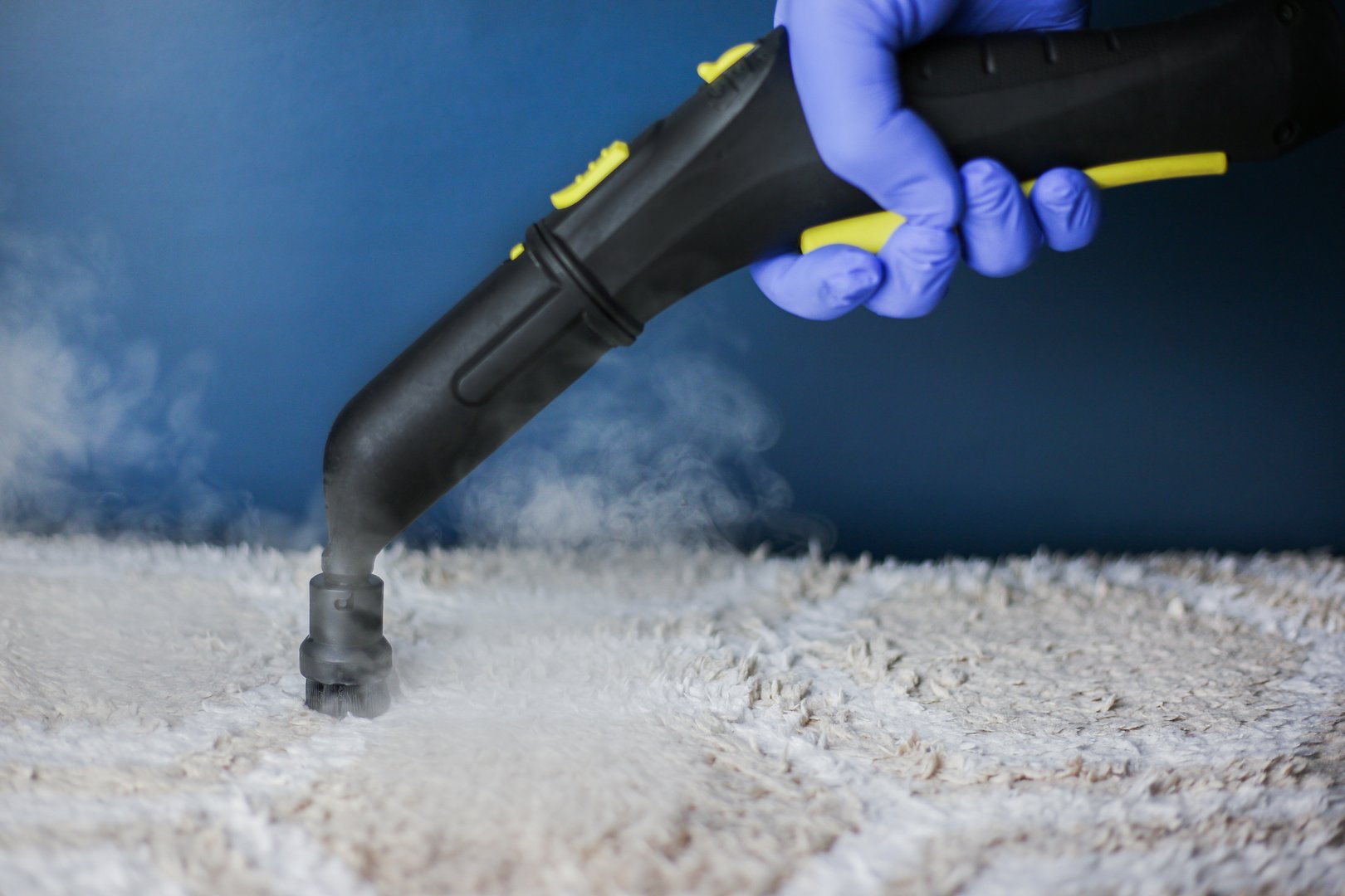 Cleaning and disinfection of a light-colored carpet with hot steam on an isolated background. Professional cleaning