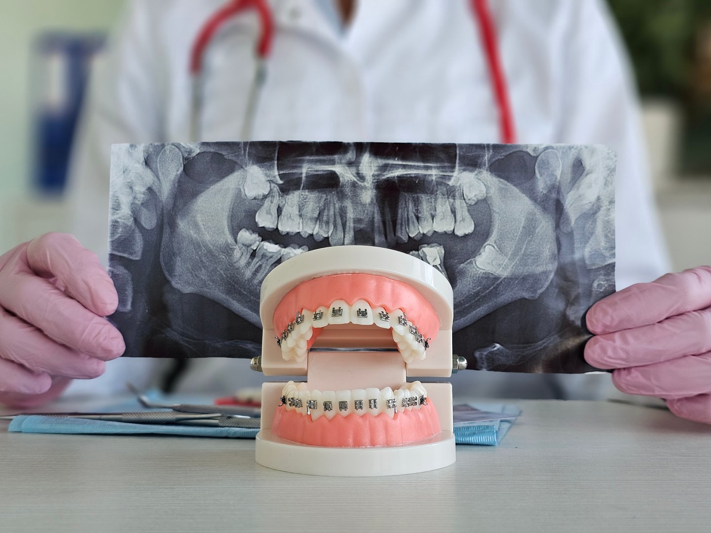 Orthodontist examining orthodontic model alongside dental X-rays in clinical environment