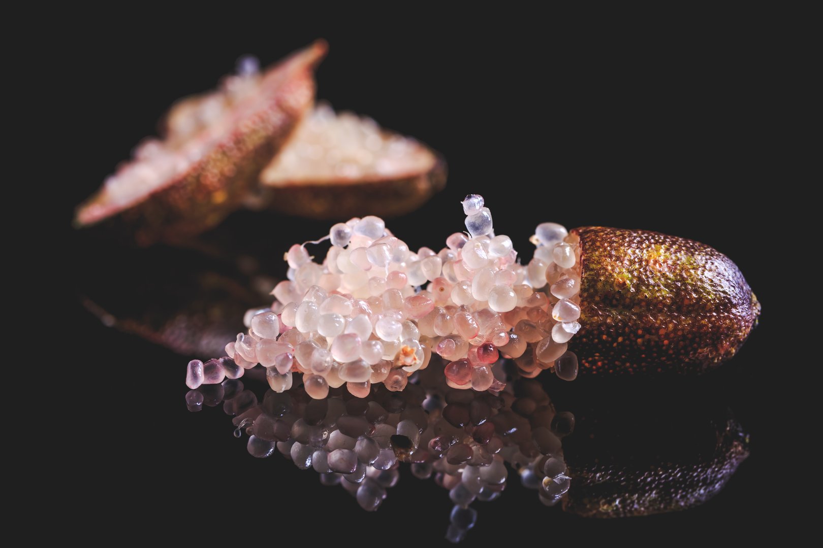 Australian finger lime or caviar lime, edible fruits used in gourmet cuisine. Citrus australasica isolated on black background