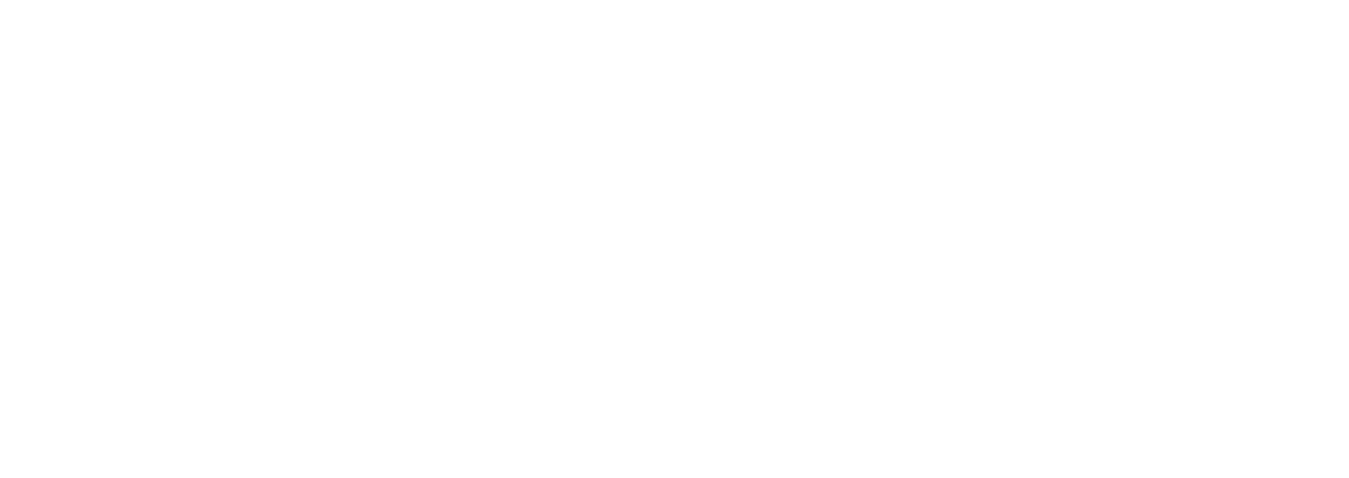 Sage Insight LLC