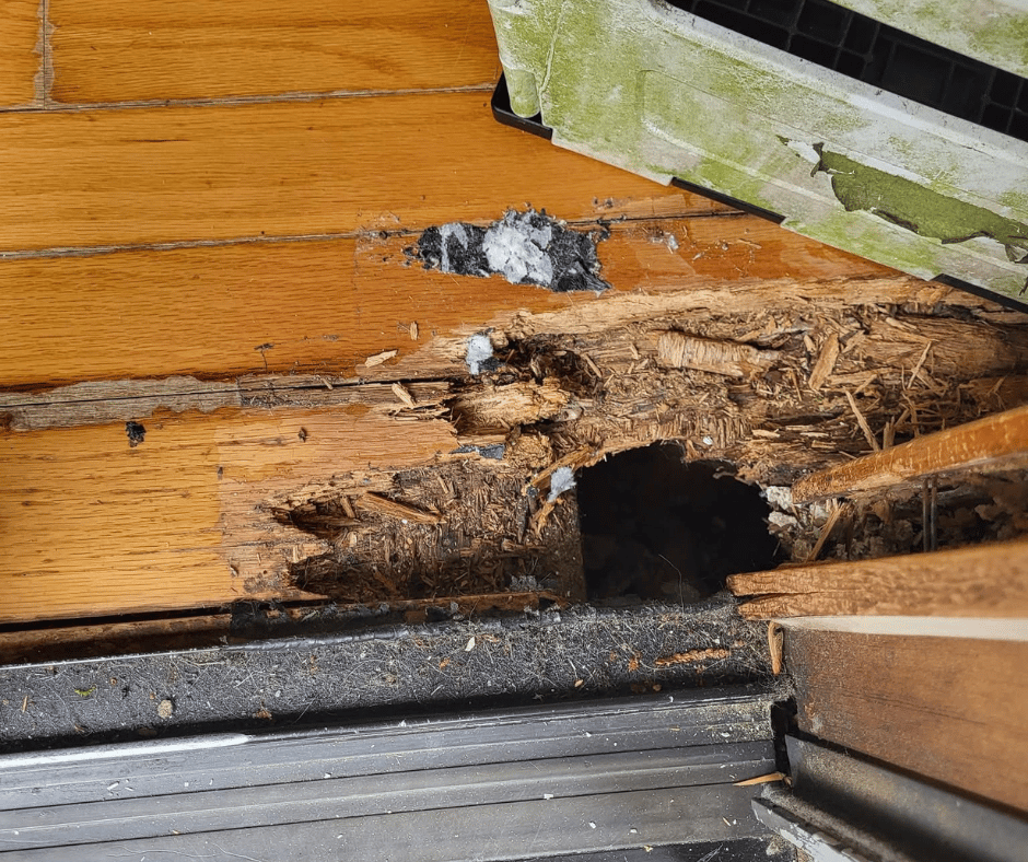 Door installation project