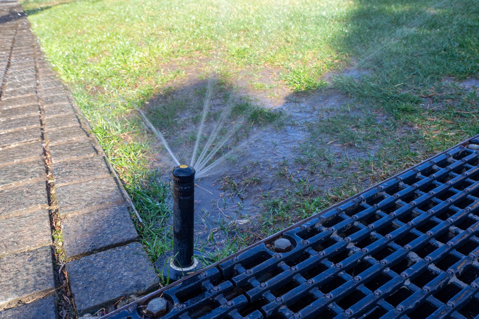 Automated sprinkler head sprays water in multiple directions on a lawn. Represents urban irrigation and water-saving systems.