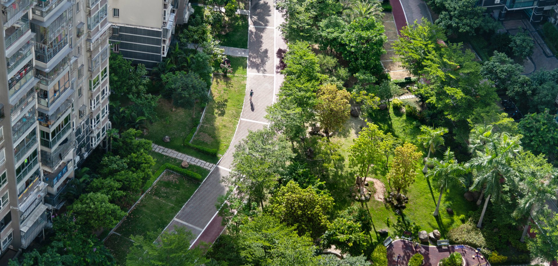 Landscaping outside the apartment building