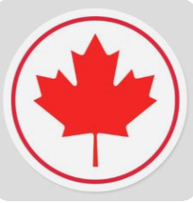 Maple Shine Cleaners Logo