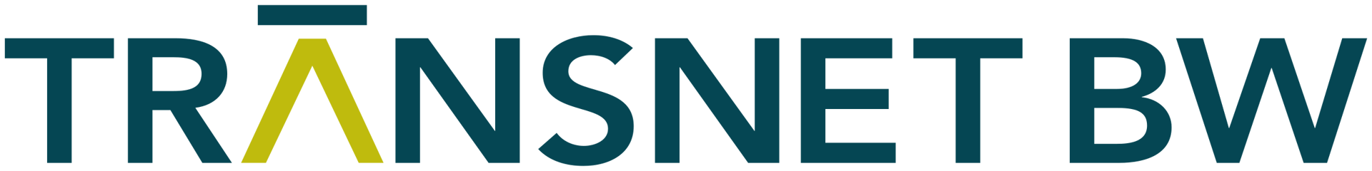 TransnetBW Logo