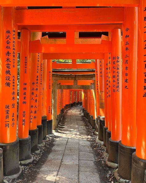 Calle de Japón con arquitectura tradicional y letreros iluminados