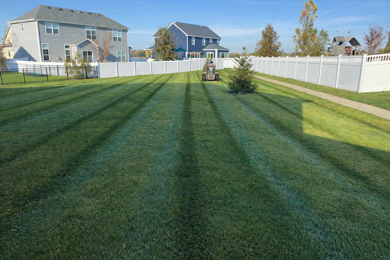 Professional lawn maintenance