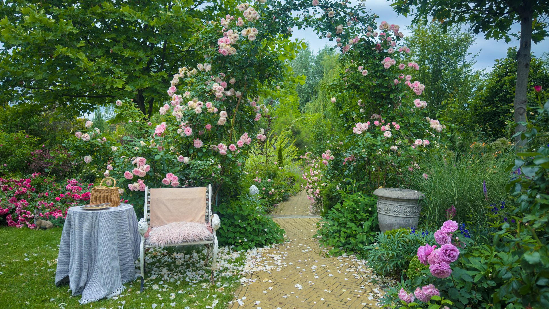 Garden with pathway and roses