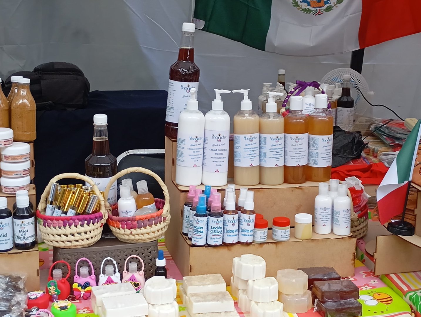 Miel artesanal pura de abejas meliponas y apis - productos naturales de la apicultura tradicional maya