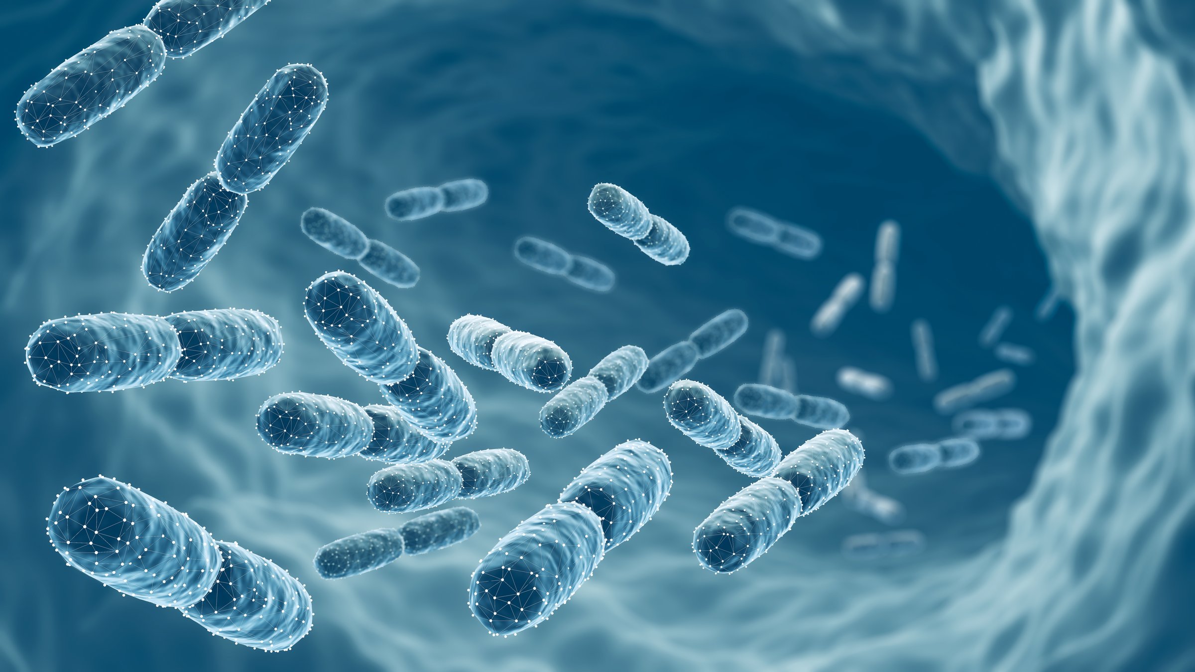 Probiotic bacteria, Lactobacillus , 3d illustration.