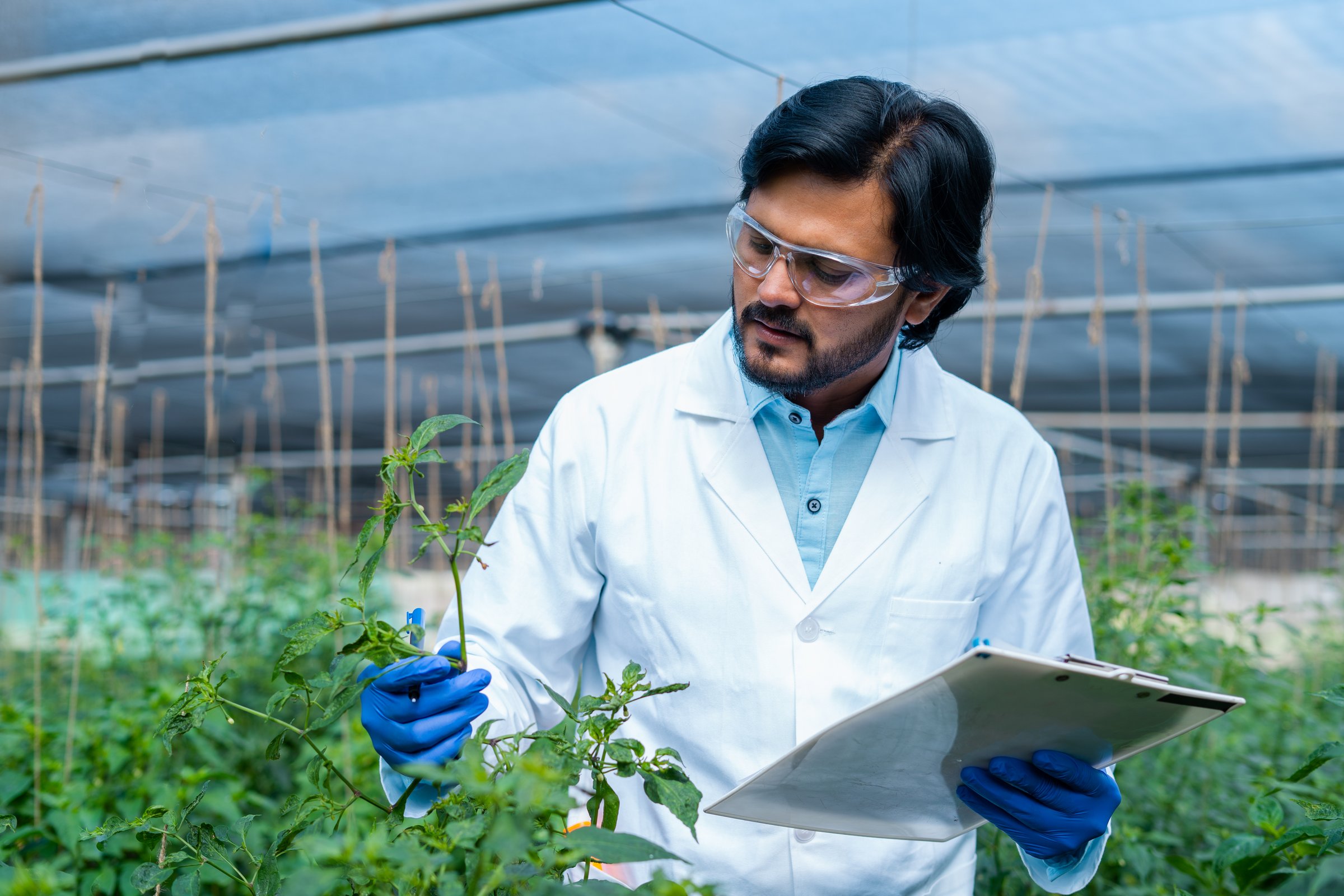 agro scientist busy working at greenhouse by noting down plant condition on clipboard - concept of professional occupation, monitoring and modern agriculture.