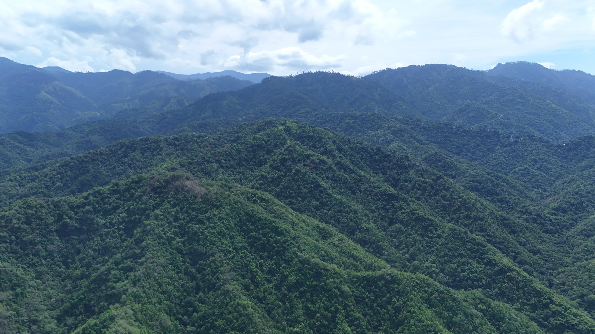 The majestic Blue Mountain range of Jamaica stretches endlessly into the horizon, showcasing lush greenery and breathtaking vistas that blend seamlessly with the skyline, inviting exploration and adventure.