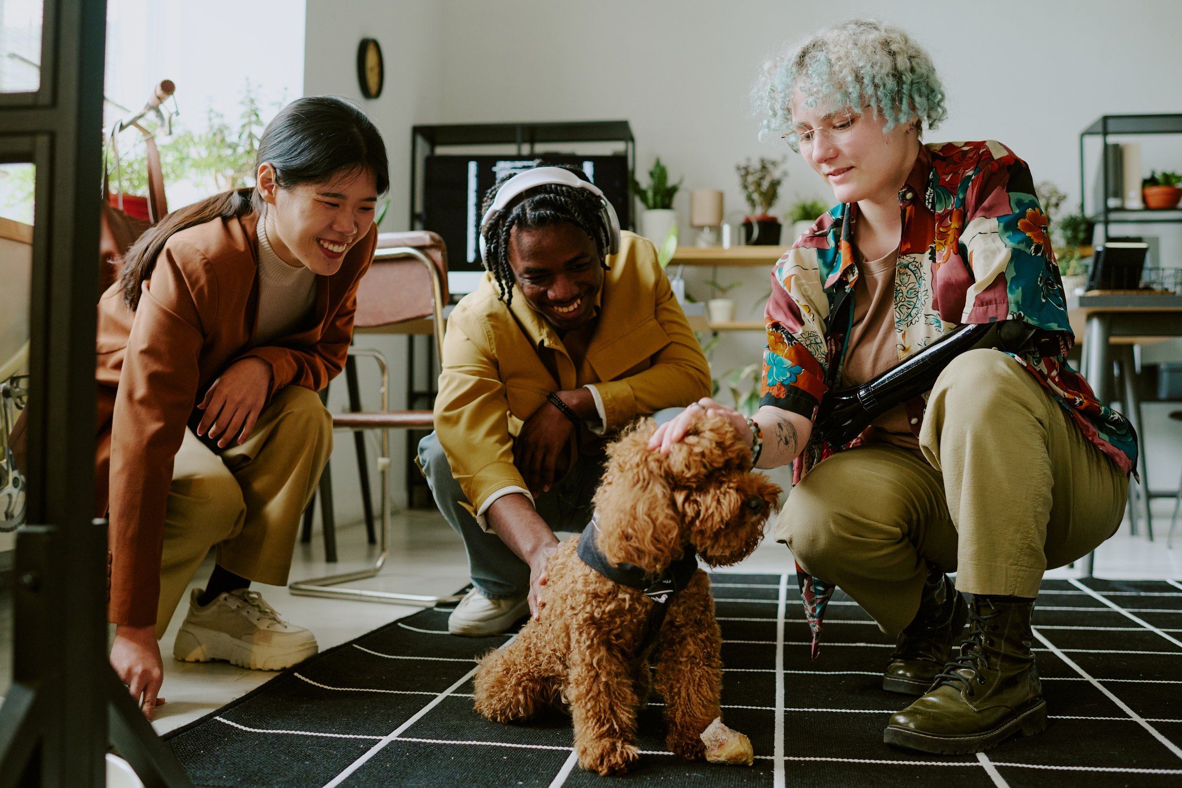 Group of diverse gen Z coworkers having fun spending break time with cute poodle dog in pet-friendly office of leading IT company