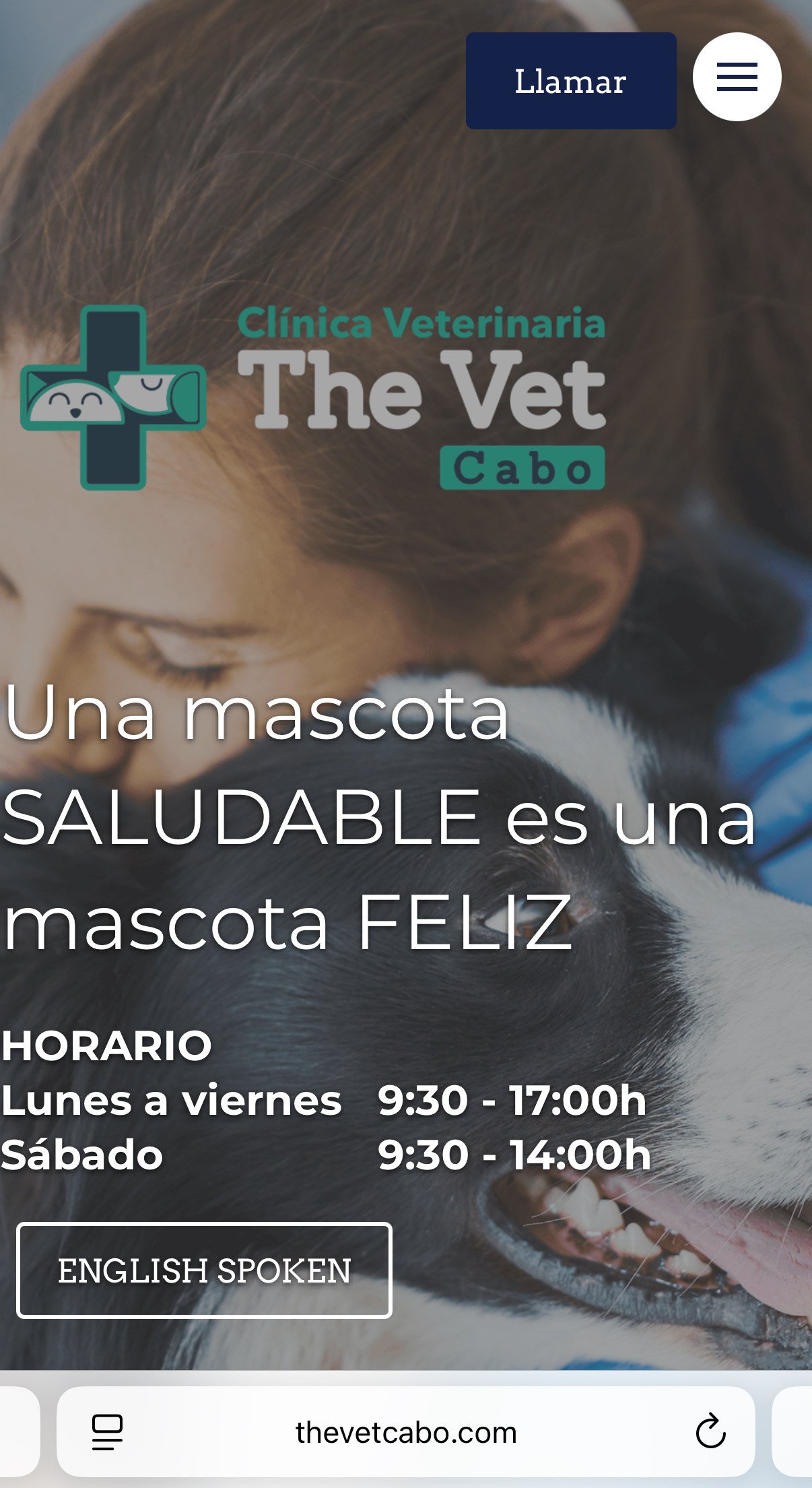 Veterinary clinic website banner with a woman holding a dog. Clinic hours and English spoken noted.