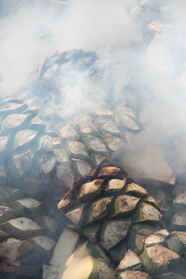 Traditional form of cooking maguey agave for the production of mezcal in the central valley of Oaxaca..