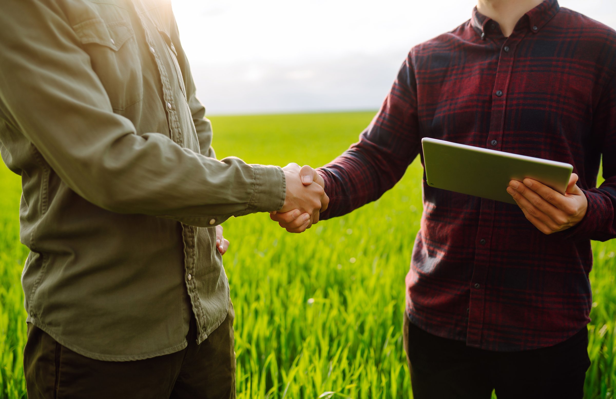 Two farmers making agreement with handshake in green wheat field. Agricultural business.