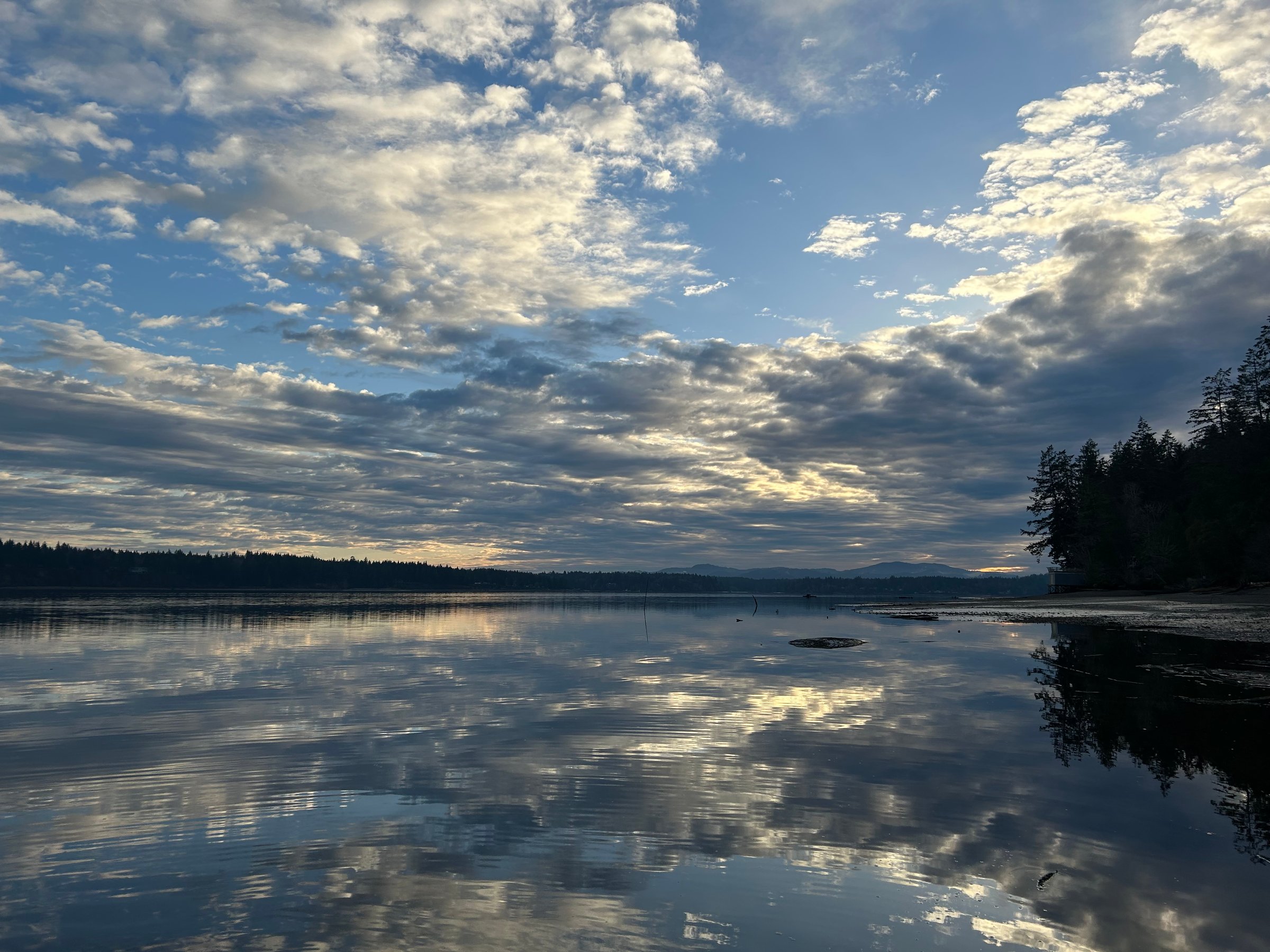 Little Skookum Shellfish operations