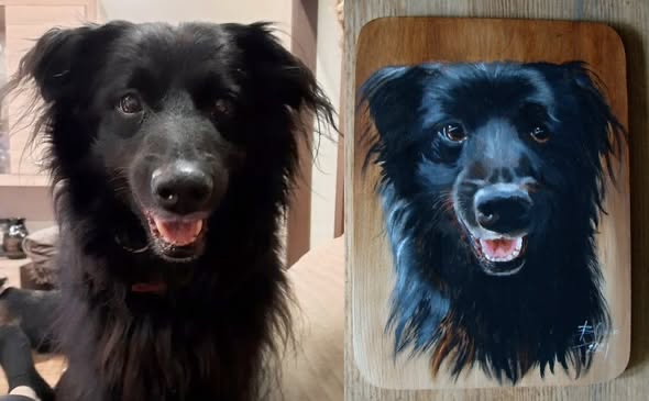 Zrealizowane zamówienie 15