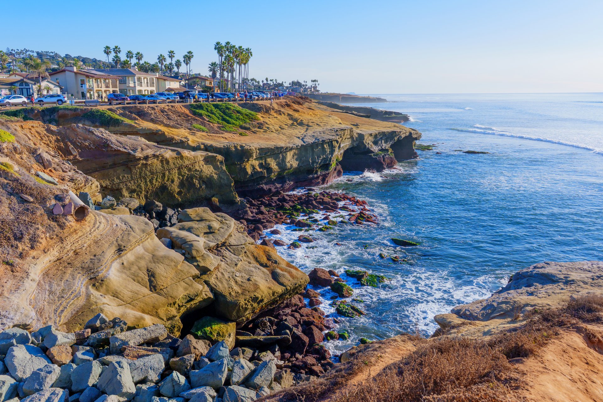 Vivid landscape of a San Diego coastal cliff featuring rugged rocks, green vegetation, and palm trees under bright sunlight, showcasing the Pacific Ocean's serene beauty.