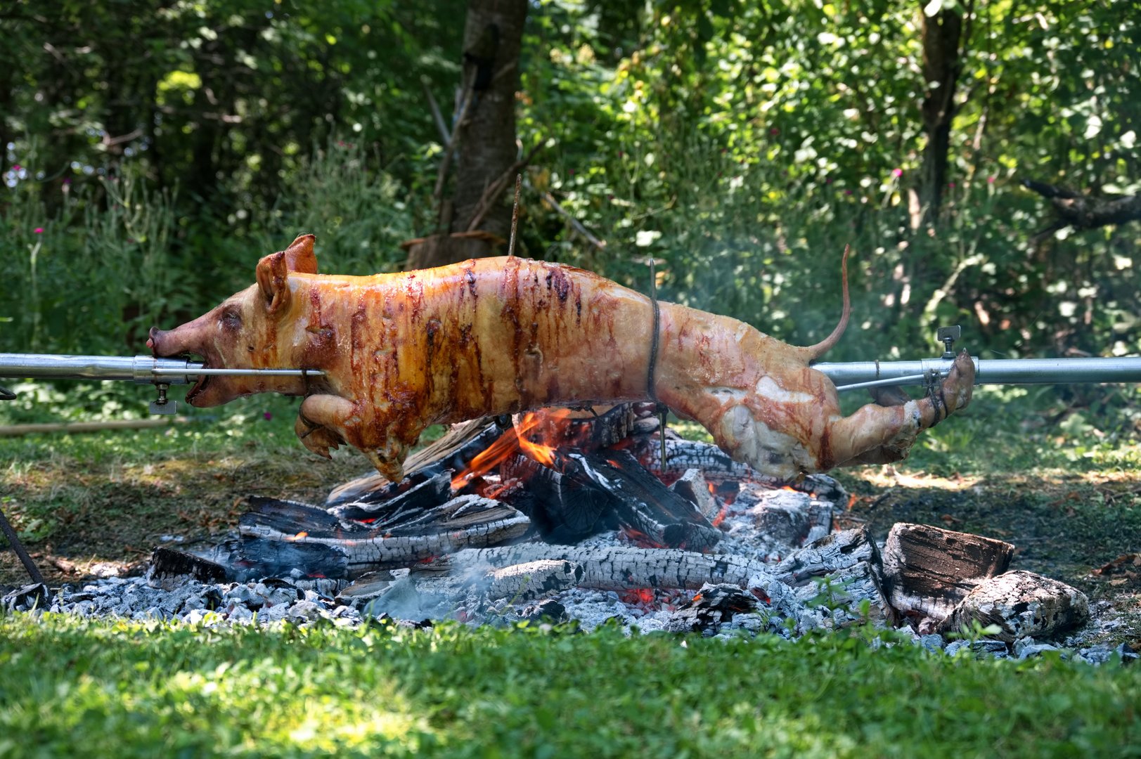 Whole pig roasted on a spit