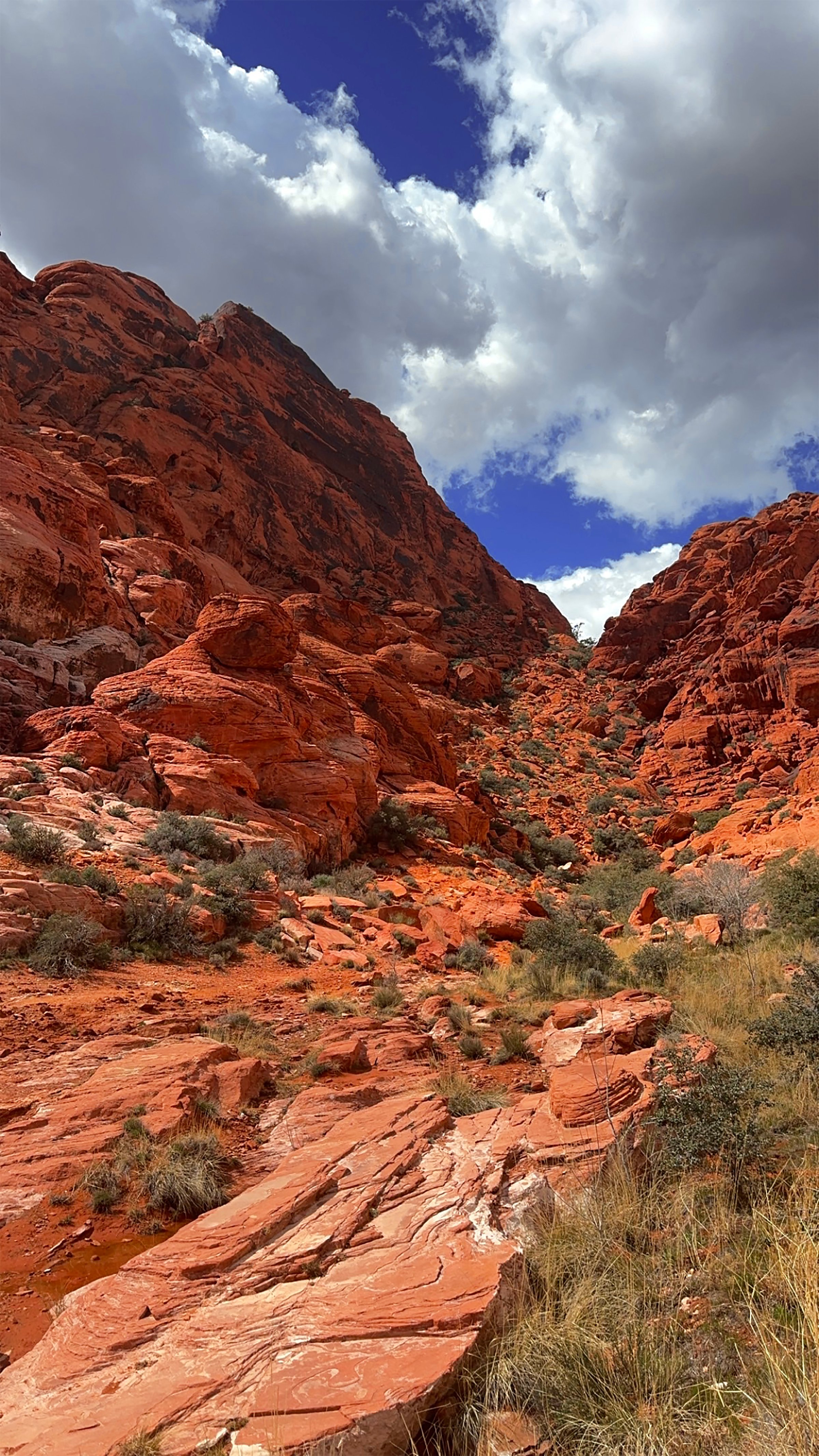 Las Vegas, Nevada, USA