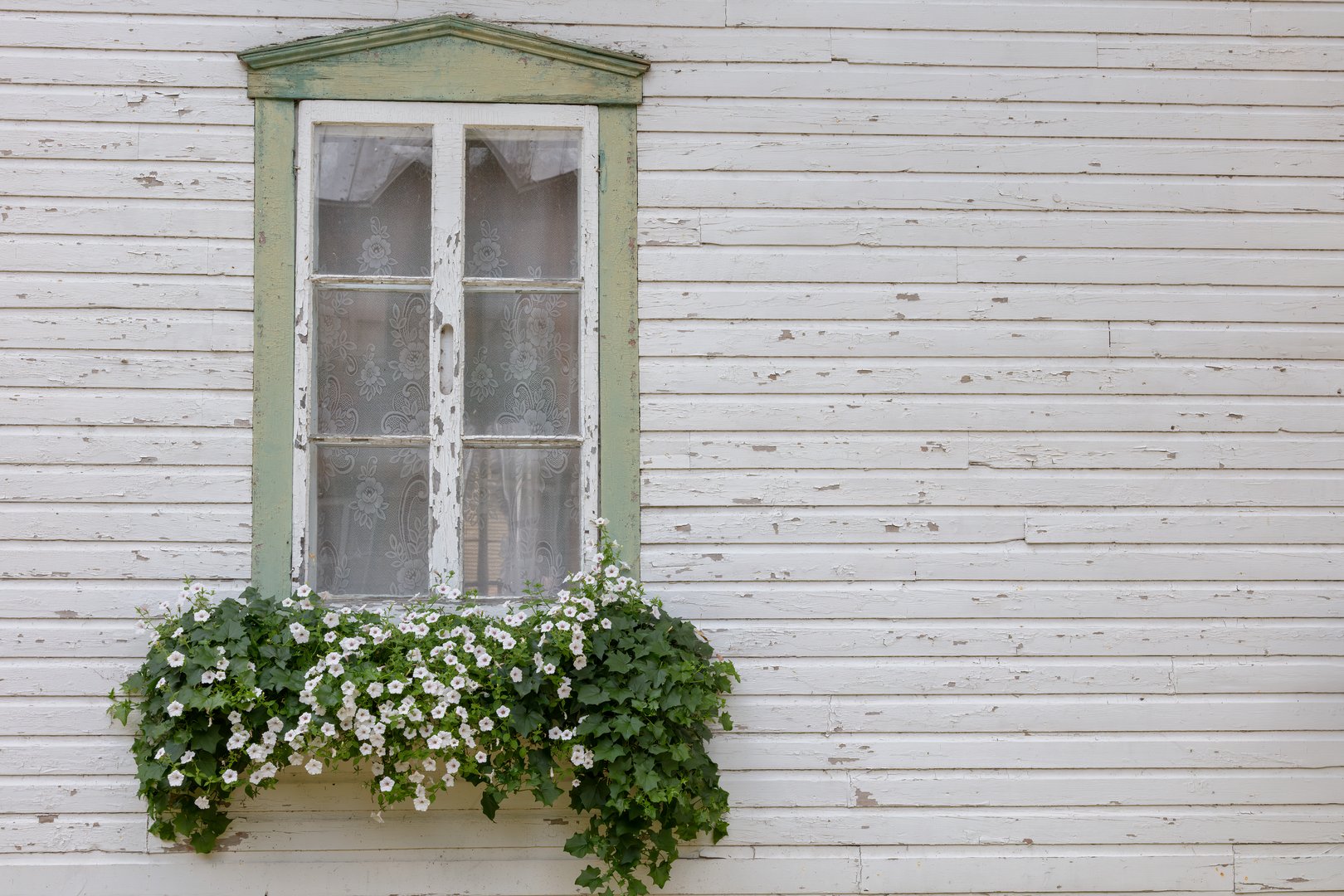 Charming vintage wooden window with green trim