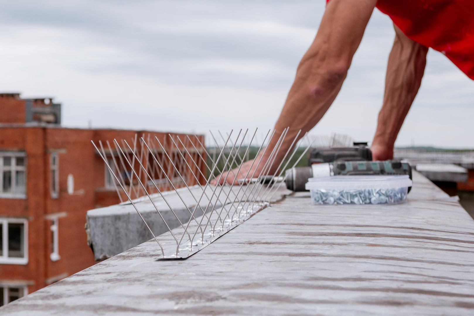 Close-up of a worker's hands installing stainless steel bird deterrent spikes on a building rooftop to prevent pigeons and other birds from landing