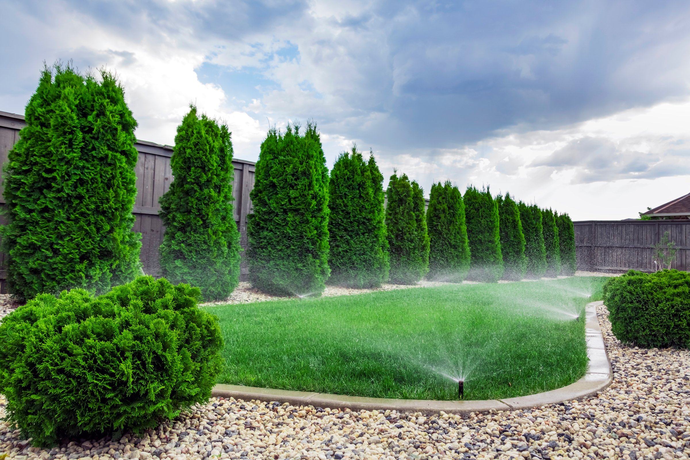Sprinklers watering grass, green lawn in garden