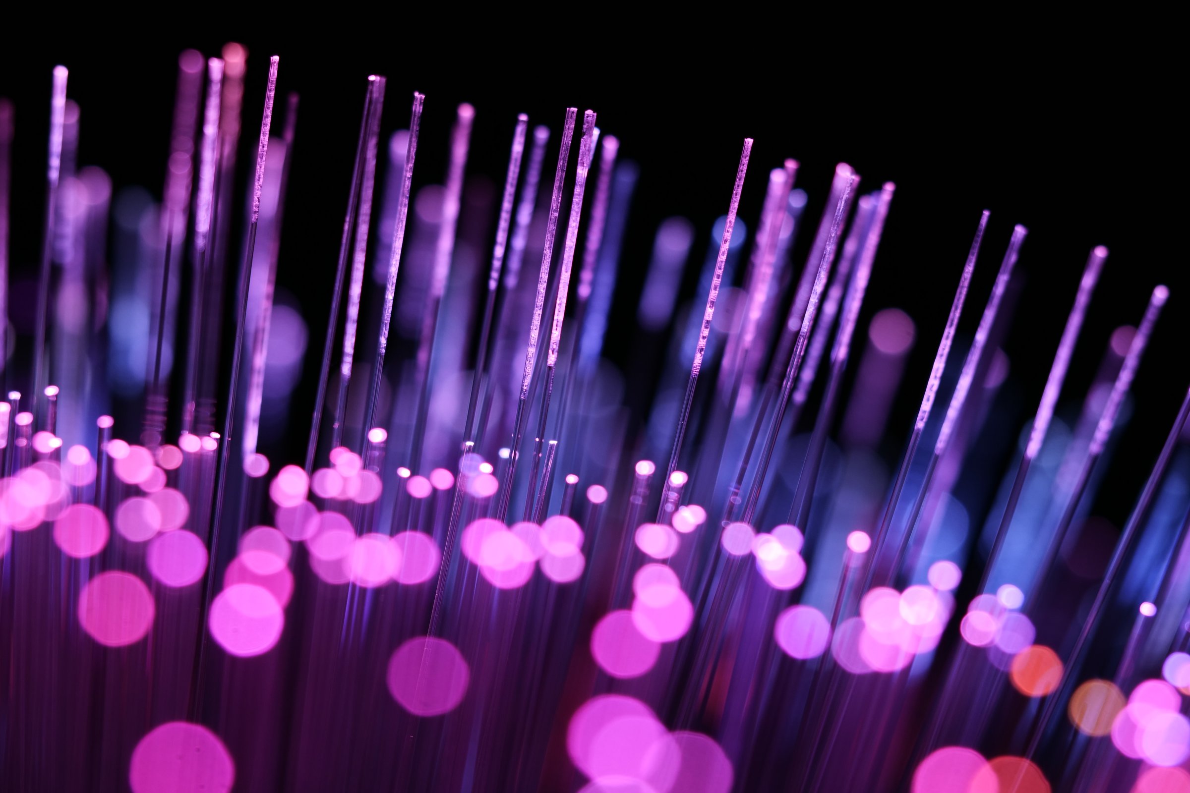 A vivid, abstract close-up of brilliant magenta and purple fiber optic strands glowing on a pitch-black background.