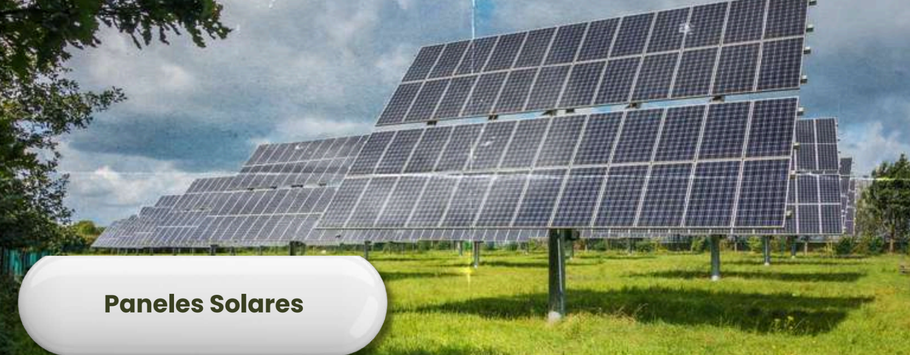 Eco Valle - Área verde