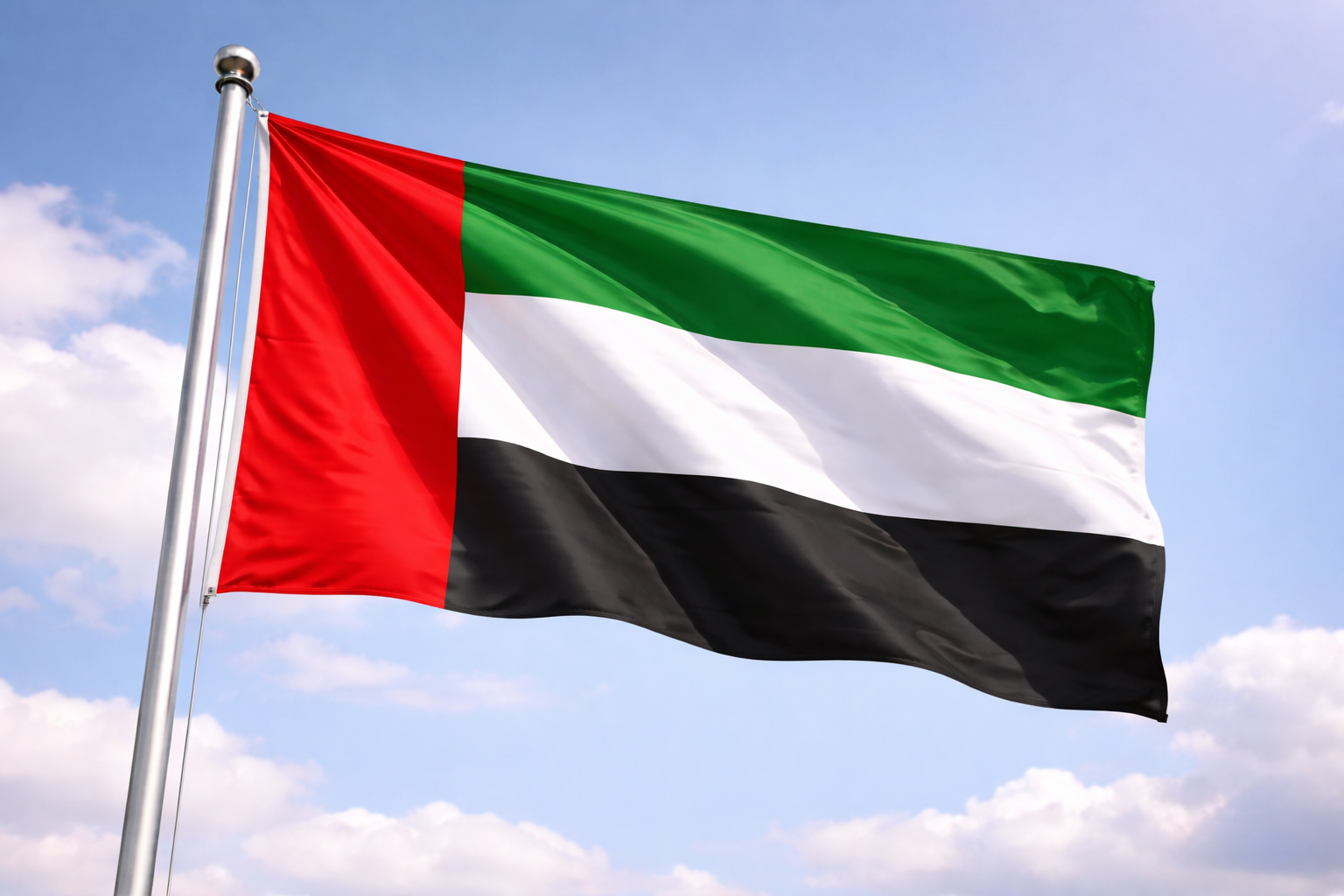 UAE flag