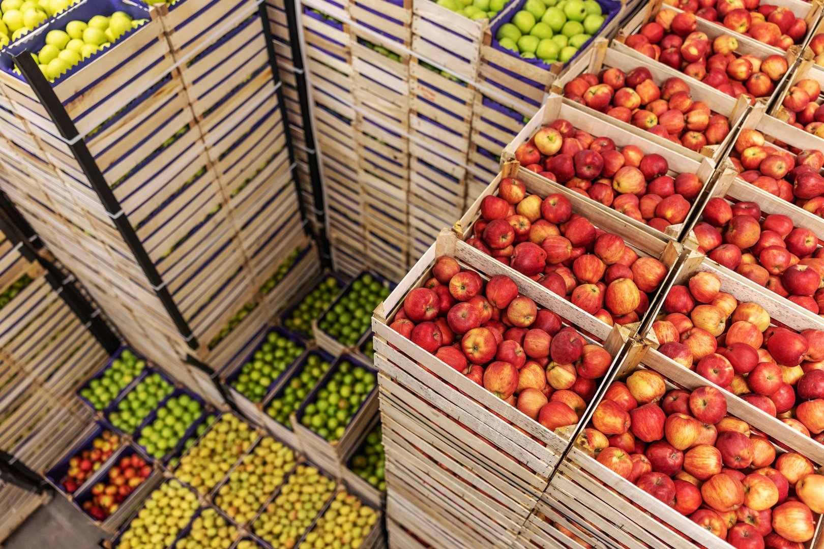 Stesan Produce – fresh produce packing and cold storage facility in Northwest Mexico