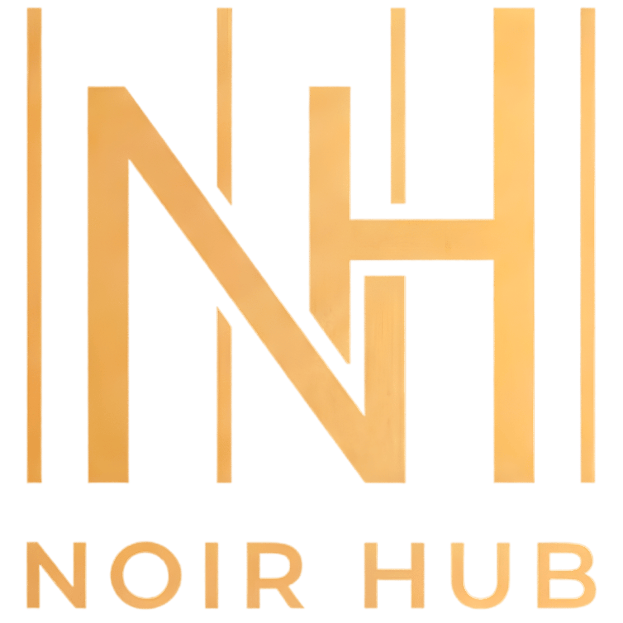 NOIR Hub Logo