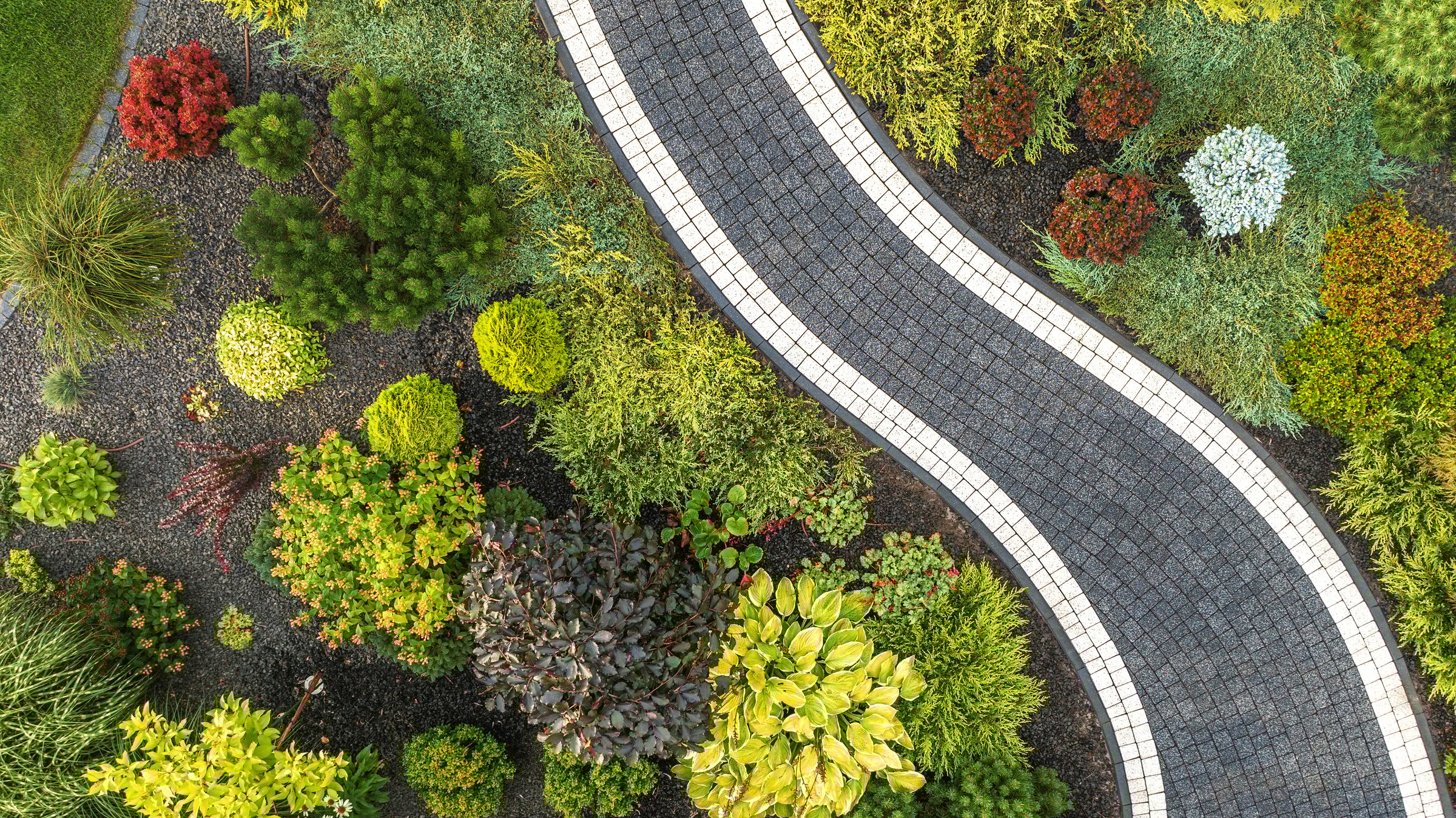 A serene garden filled with various plants and shrubs creates a colorful backdrop for a winding pathway
